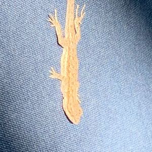 Meet your Posher, Roxanne